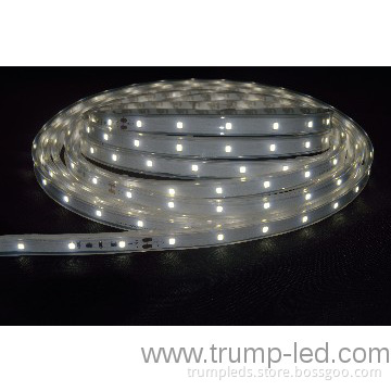 High Lumen 5050/3528 12V Waterproof IP65 2835 LED Strip